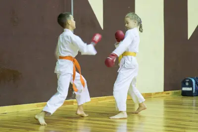 Zemgales novada karatē čempionāts 2017 — 38
