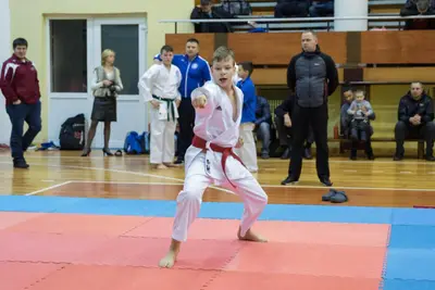Zemgales novada karatē čempionāts 2017 — 45