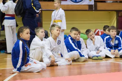 Zemgales novada karatē čempionāts 2017 — 52