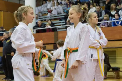 Zemgales novada karatē čempionāts 2017 — 53