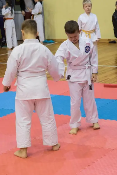 Zemgales novada karatē čempionāts 2017 — 58