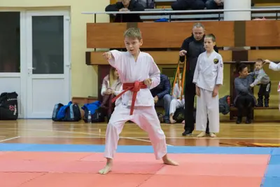 Zemgales novada karatē čempionāts 2017 — 62