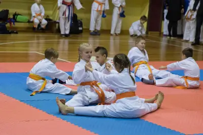 Zemgales novada karatē čempionāts 2017 — 6