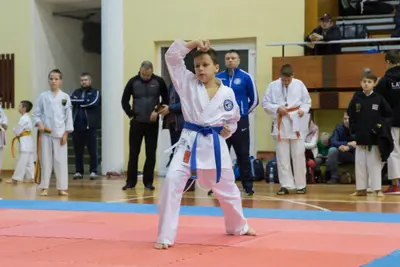Zemgales novada karatē čempionāts 2017 — 70