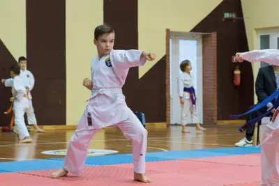 Zemgales novada karatē čempionāts 2017 — 71