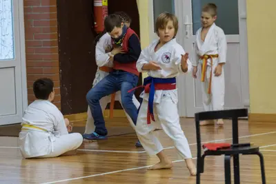 Zemgales novada karatē čempionāts 2017 — 76