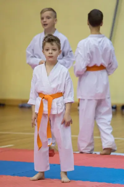 Zemgales novada karatē čempionāts 2017 — 77