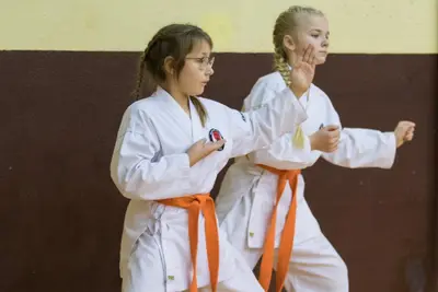 Zemgales novada karatē čempionāts 2017 — 82