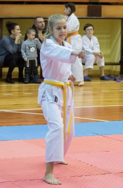 Zemgales novada karatē čempionāts 2017 — 83