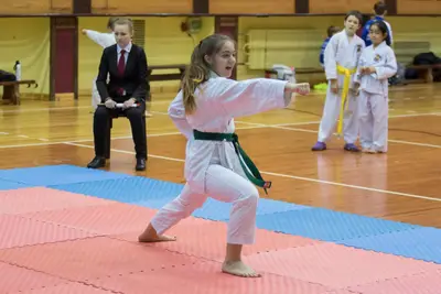 Zemgales novada karatē čempionāts 2017 — 87