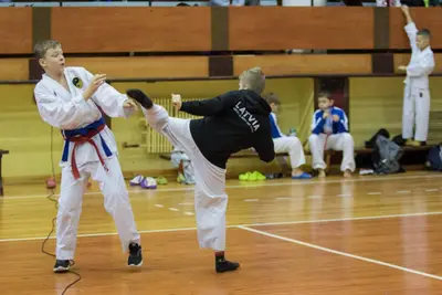 Zemgales novada karatē čempionāts 2017 — 90
