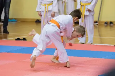 Zemgales novada karatē čempionāts 2017 — 91