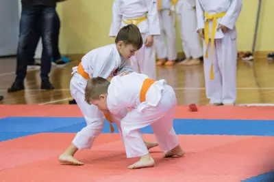 Zemgales novada karatē čempionāts 2017 — 92