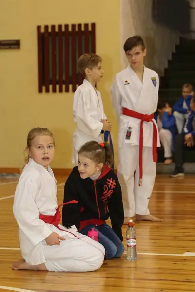 Zemgales Novada karate čempionāts - 25.11.2018 — 100