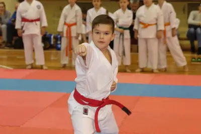 Zemgales Novada karate čempionāts - 25.11.2018 — 103