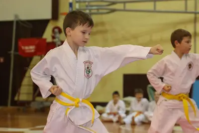 Zemgales Novada karate čempionāts - 25.11.2018 — 107