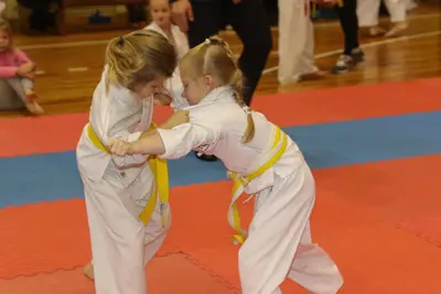 Zemgales Novada karate čempionāts - 25.11.2018 — 113