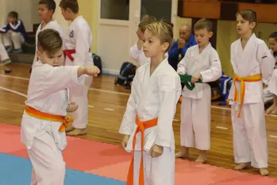 Zemgales Novada karate čempionāts - 25.11.2018 — 114