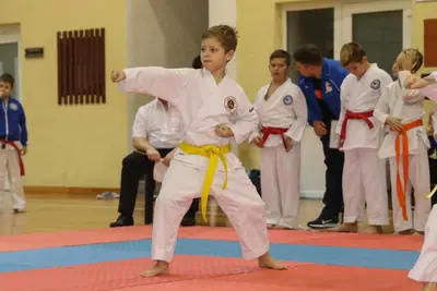 Zemgales Novada karate čempionāts - 25.11.2018 — 119