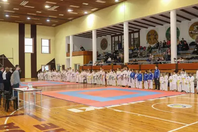 Zemgales Novada karate čempionāts - 25.11.2018 — 12