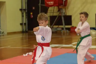 Zemgales Novada karate čempionāts - 25.11.2018 — 135