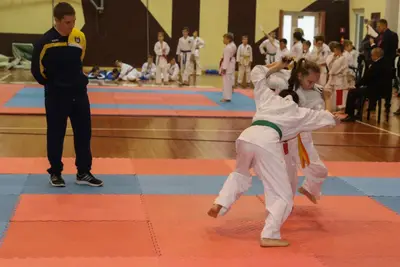 Zemgales Novada karate čempionāts - 25.11.2018 — 140