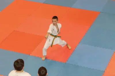 Zemgales Novada karate čempionāts - 25.11.2018 — 149