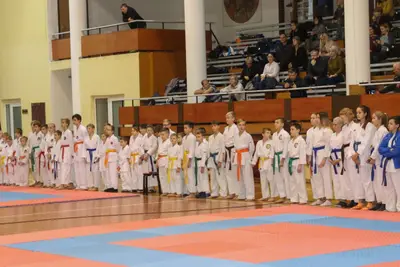Zemgales Novada karate čempionāts - 25.11.2018 — 14