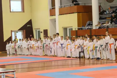 Zemgales Novada karate čempionāts - 25.11.2018 — 15