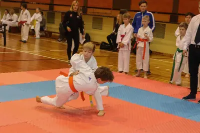 Zemgales Novada karate čempionāts - 25.11.2018 — 273