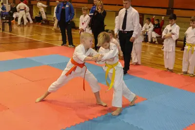 Zemgales Novada karate čempionāts - 25.11.2018 — 278
