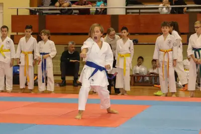 Zemgales Novada karate čempionāts - 25.11.2018 — 279