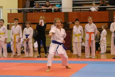 Zemgales Novada karate čempionāts - 25.11.2018 — 280