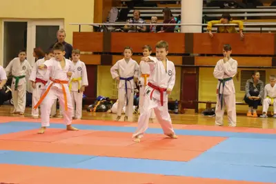 Zemgales Novada karate čempionāts - 25.11.2018 — 283