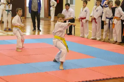 Zemgales Novada karate čempionāts - 25.11.2018 — 288