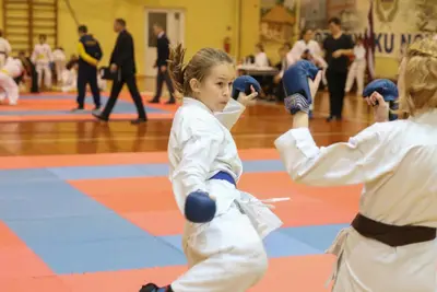 Zemgales Novada karate čempionāts - 25.11.2018 — 296