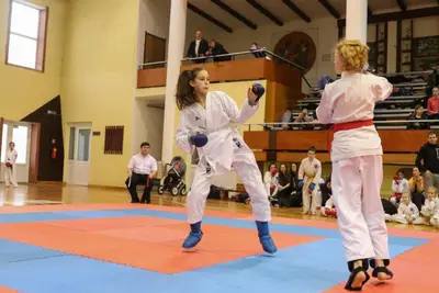 Zemgales Novada karate čempionāts - 25.11.2018 — 163