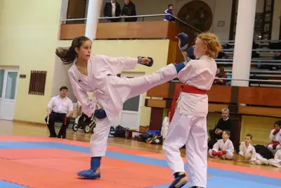 Zemgales Novada karate čempionāts - 25.11.2018 — 166