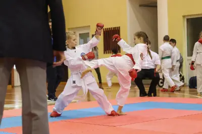 Zemgales Novada karate čempionāts - 25.11.2018 — 172