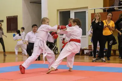 Zemgales Novada karate čempionāts - 25.11.2018 — 173