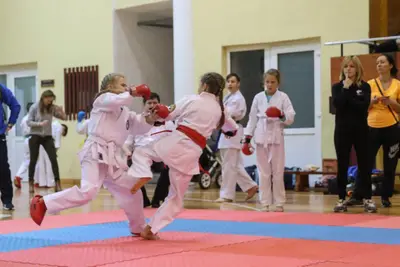 Zemgales Novada karate čempionāts - 25.11.2018 — 174