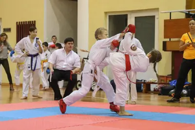 Zemgales Novada karate čempionāts - 25.11.2018 — 175