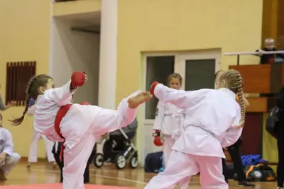Zemgales Novada karate čempionāts - 25.11.2018 — 177