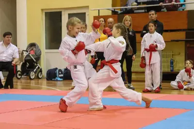 Zemgales Novada karate čempionāts - 25.11.2018 — 178