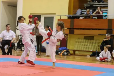 Zemgales Novada karate čempionāts - 25.11.2018 — 183