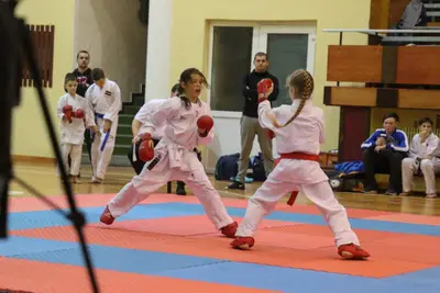 Zemgales Novada karate čempionāts - 25.11.2018 — 186