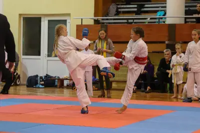 Zemgales Novada karate čempionāts - 25.11.2018 — 192