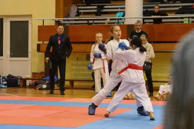 Zemgales Novada karate čempionāts - 25.11.2018 — 194