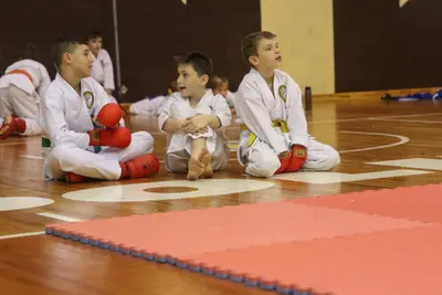 Zemgales Novada karate čempionāts - 25.11.2018 — 305