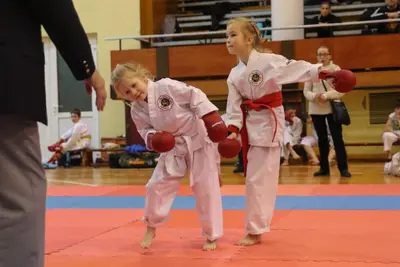 Zemgales Novada karate čempionāts - 25.11.2018 — 310